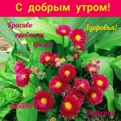 ирина - Доброе утро!!! Всем хорошего настроения. А самое главное здоровье  !!!!#здоровье#настроение🔥 #счастьетебе #любви💞 | Facebook