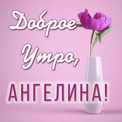 доброе утро геночка｜TikTok 검색