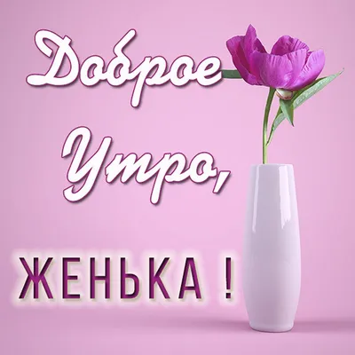 Красивая картинка доброе утро Женя (скачать бесплатно)