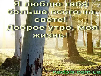 Доброе утро, моя жизнь | Картинки с надписями, прикольные картинки с  надписями для контакта от Любаши