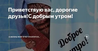 Пин от пользователя Ольга Ти на доске Доброе утро, хорошего дня! |  Счастливые картинки, Смешные поздравительные открытки, Доброе утро