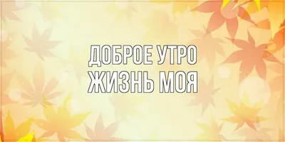 Доброе утро картинки красивые необычные нежные