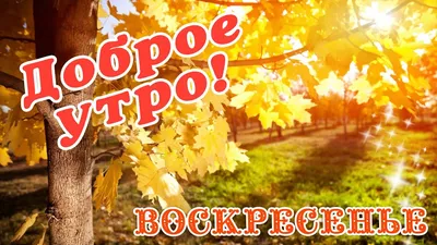 🎺 УРА ВОСКРЕСЕНЬЕ! 🎺 ДОБРОГО УТРА / ДОБРОЕ УТРО / С ДОБРЫМ УТРОМ / ДОБРОГО  УТРА ЛЮБИМОЙ / КАРТИНКИ - YouTube