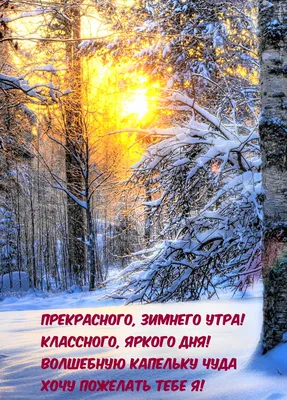 Идеи на тему «Доброе зимнее утро» (190) | доброе утро, открытки, зимние  картинки