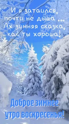 Идеи на тему «Доброе зимнее утро» (190) | открытки, доброе утро, зимние  картинки