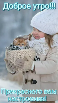 Доброе утро 🤗 Очень милая, задорная…» — создано в Шедевруме