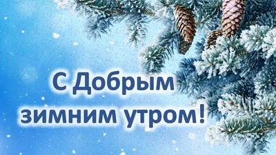 Доброе утро и с праздником! зима …» — создано в Шедевруме