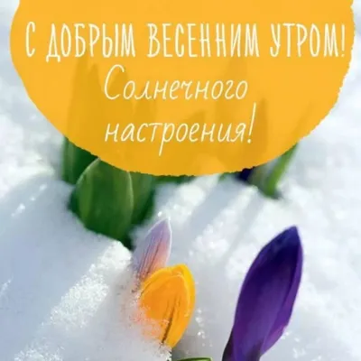 С добрым весенним утром картинки прикольные и смешные🌞