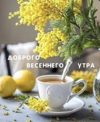 Картинки "Доброе весеннее утро!" (255 шт.)