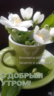 Картинки "Доброе весеннее утро!" (255 шт.)