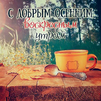 Olgа🌺🌿 on Twitter: "Доброе Воскресное утро Всем! ☕😊🌞🦋🍃🌺🍃  /0nUALwqSD9" / Twitter