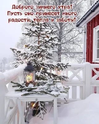 Картинки "Доброе зимнее утро!" (680 шт.) | Christmas wreaths, Christmas  ornaments, Christmas bulbs