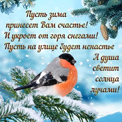 Идеи на тему «Зимнего Доброго Утра» (900+) в 2023 г | открытки, доброе утро,  зимние цитаты