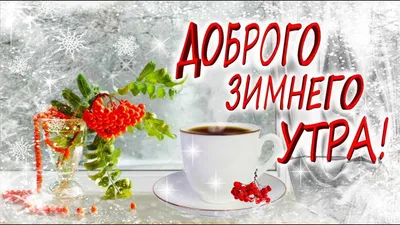 Зимнее Утро доброе! | Доброе утро, Картинки, Открытки