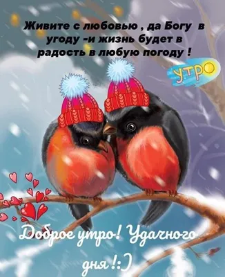 Прикольная открытка "С Добрым утром Среды", с ёжиком • Аудио от Путина,  голосовые, музыкальные