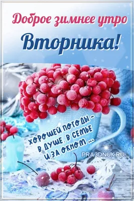 Открытки "Доброго утра!" во вторник (100+)