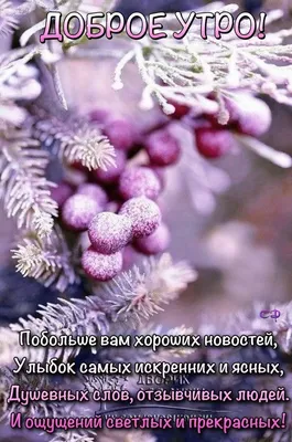 Идеи на тему «Доброе зимнее утро!» (75) | доброе утро, открытки, зимние  цитаты