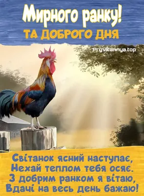 💗☕️🌷Доброго Ранку! Гарного Дня! Заряд Позитиву на Весь День!💞 - YouTube