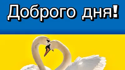 Побажання гарного дня в картинках, своїми словами, у віршах, в смс та  християнські побажання доброго дня — Укрaїнa