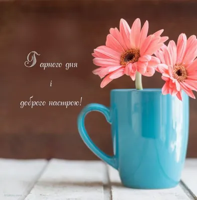 Картинки Гарного дня! | Morning greeting, Cute mugs, Happy birthday