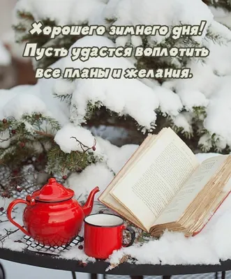 Картинки хорошего дня и отличного настроения зимние (45 фото) » Юмор,  позитив и много смешных картинок