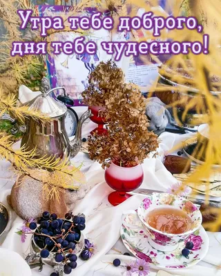 Доброе утро! ❤️ Зимний февральский приветик! ❤️ Пусть утро будет добрым и  светлым! ❤️ - YouTube