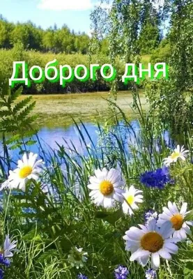 Открытки доброе летнее утро доброе утро...