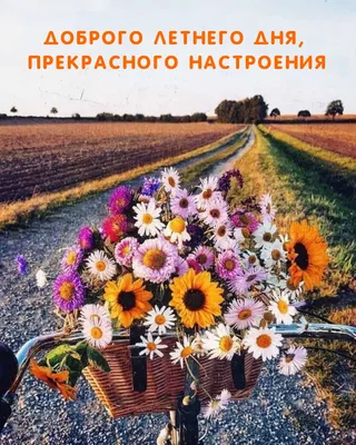 Картинки - Хорошего летнего дня (95 открыток)