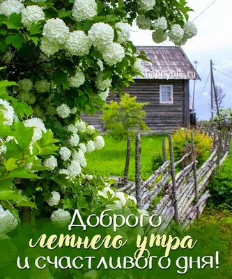 Картинка: "Доброе утро! С началом нового летнего дня.." • Аудио от Путина,  голосовые, музыкальные