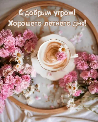 Доброго летнего дня! 🌸🌿🌺☘️🌸 | Вдохновляющие цитаты, Веселые картинки,  Открытки