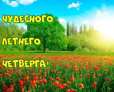 Картинка: Доброго летнего дня!