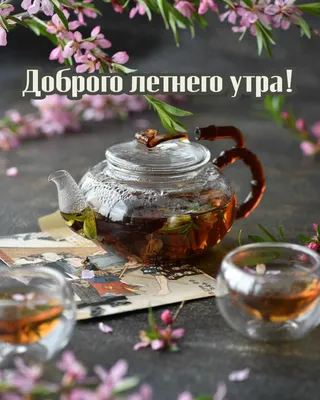 Желаю доброго летнего утра! Самого лучшего дня!.