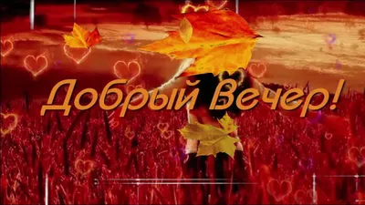 Добрый вечер! Красивое Пожелание Доброго вечера! Музыкальная открытка С Добрым  вечером Моим Друзьям! - YouTube