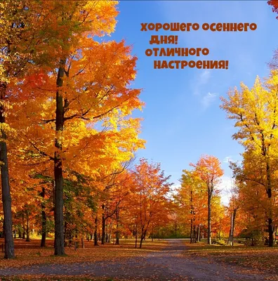 😃 Добрый день, осенние картинки, открытки.