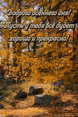 Картинка: Доброго осеннего дня! Пусть у тебя всё будет хорошо и прекрасно!