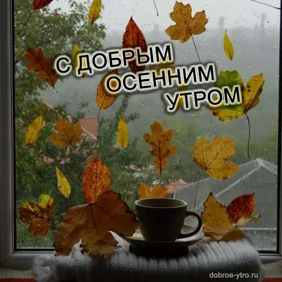 Добрые пожелания 💞 Открытки | 🍂 Доброго осеннего утра ☕ Хорошего удачного  дня 💕👍🍁 | Дзен