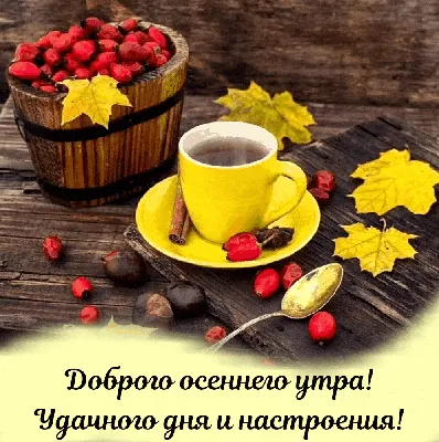 Доброго осеннего Утра ☕🍁#хорошегодня ❤️ | Instagram