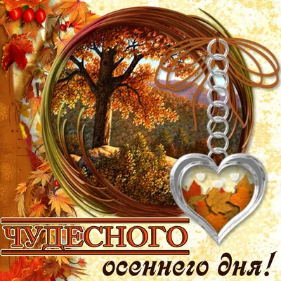 🍁🍂🍁 Доброго осеннего утра 🌅 хорошего дня и отличного 😊 настроения... |  TikTok