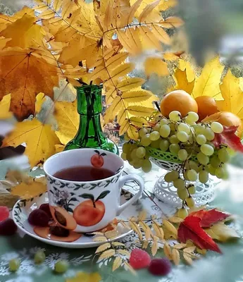 🍁С Добрым Осенним Утром!!!Доброе утро!🍂#доброеосеннееутро#сдобрымутр... |  TikTok