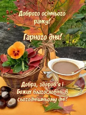 Pin by Валентина Данилюк on Доброго осіннього ранку | Pumpkin patch, Fruit,  Pumpkin