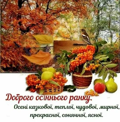 Світлана Руденко on X: "@MertMehmet15 Доброго ранку ☕ 🍁🍂🍁🌞. Щиро дякую  тобі за твою позицію🇺🇦🤝🇹🇷 /d25CAmK2I0" / X