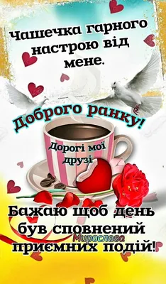 Добрий ранок, друзі!☕️ | Good morning