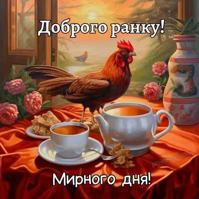 Ірина Соколова on X: "@ZampolitGistapo Доброго ранку. Гарного дня.  /NphoAieD3Q" / X