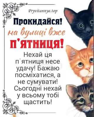 Oleg on Instagram: "Доброго ранку! 💙💛"