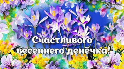 Доброго солнечного дня! — Скачайте на 