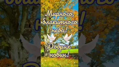 Ira🇺🇦💙💛 on X: "Доброго раночку,друзі!Гарного суботнього дня!🌞☕️  /bzKHPbJjiE" / X