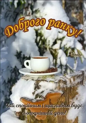 рекомендації🇺🇦💙💛# доброго суботнього ранку, друзі☕️🍰 | TikTok