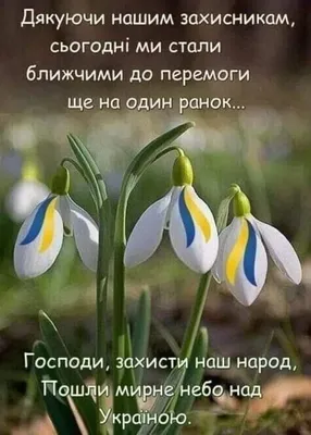 Соломія Українець - ДОБРОГО ВАМ РАНКУ🍁 Дочекались! Вже субота, буде  кожному робота: хто на зиму яблук рвати, чи калини наламати. Хто до лісу по  гриби, де ялини і дуби. Вас чекає осінь