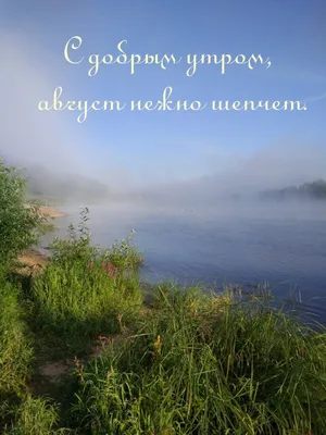 ☕️ Пожелание доброго утра, хорошего дня в любую погоду! Под музыку дождя  проснись...и утру улыбнись! - YouTube