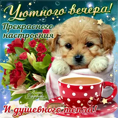 Видеооткрытка Доброго Вечера И Хорошего Настроения ✨ ВСЁ Будет Хорошо☕  Музыкальная Открытка